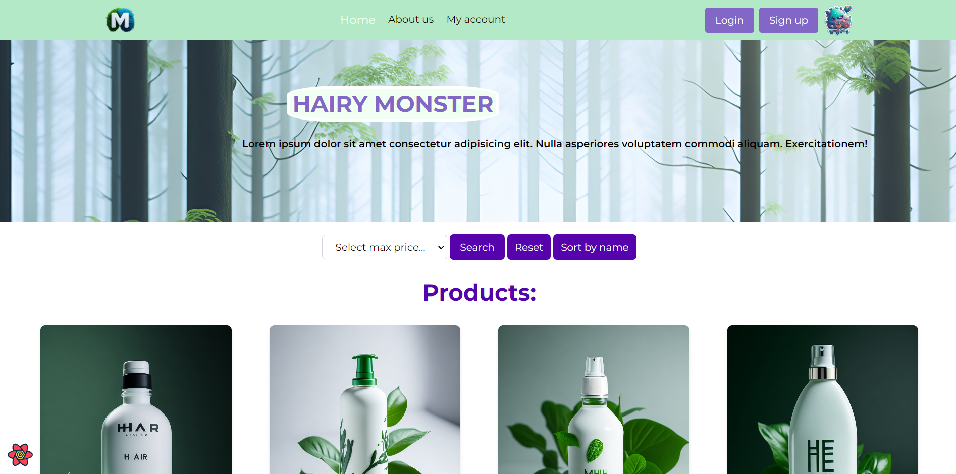 Hairy Monster / Ecommerce